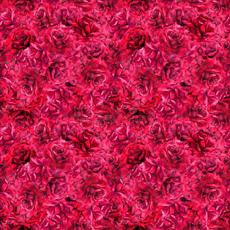 A lot of red roses flowers. Seamless pattern. Water color