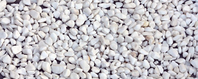 A lot of round and oval stones of white color lie on the ground stock image A lot of round and oval stones of white color lie on the ground stock image