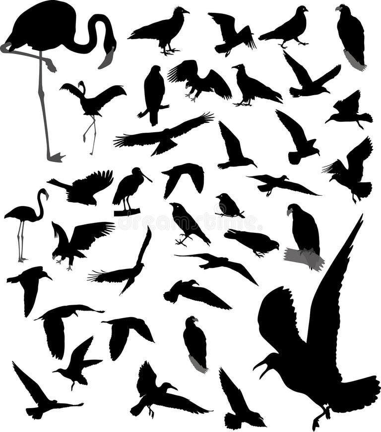 Group Birds Clipart Stock Illustrations – 318 Group Birds Clipart Stock