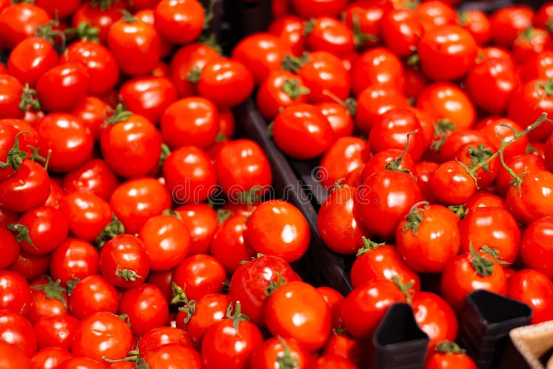 A Lot Of Red Tomatoes In The Store Stock Photo - Image of harvest ...