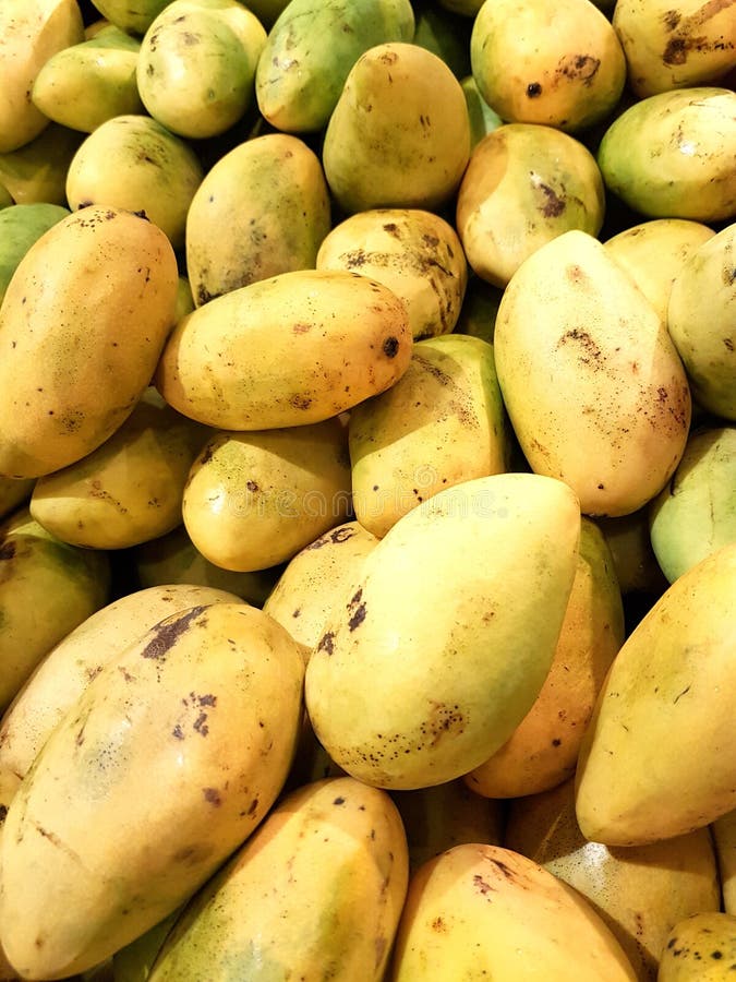 Mango Sweet Fruit With Split Bone In Half And Whole Handles Stock Photo ...