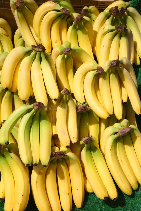 Lotes dos grupos das bananas.