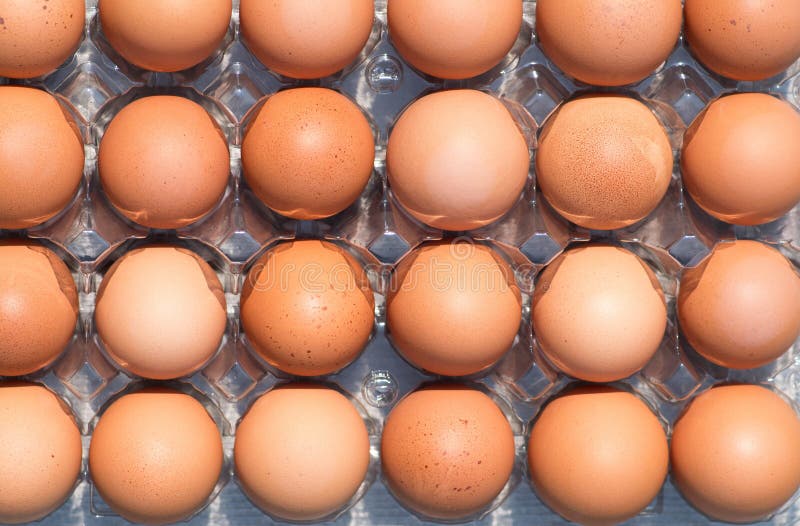 Lots of eggs stock image. Image of small, concepts ...