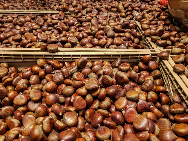 Lots of chestnuts for sale stock image. Image of eating 198281927