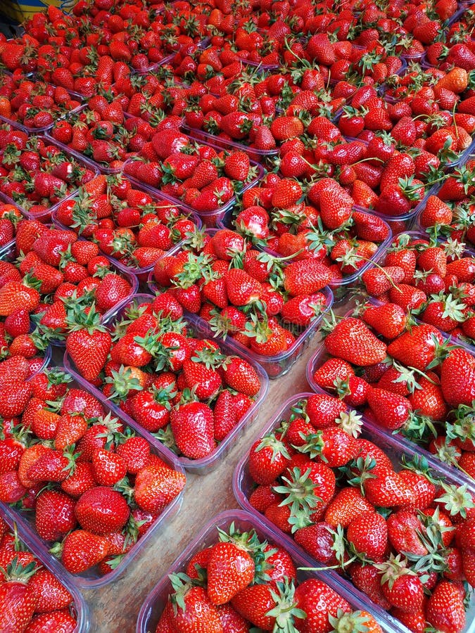 Strawberries are Packaged in Plastic Containers for Sale. Stock Photo