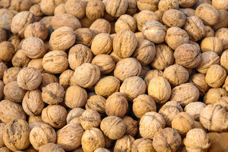 Lots of inshell walnuts on the market counter stock photo Lots of inshell walnuts on the market counter stock photo