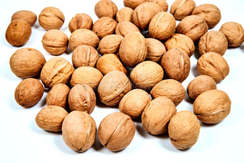 Lots of inshell Walnuts on white background stock photography Lots of inshell Walnuts on white background stock photography