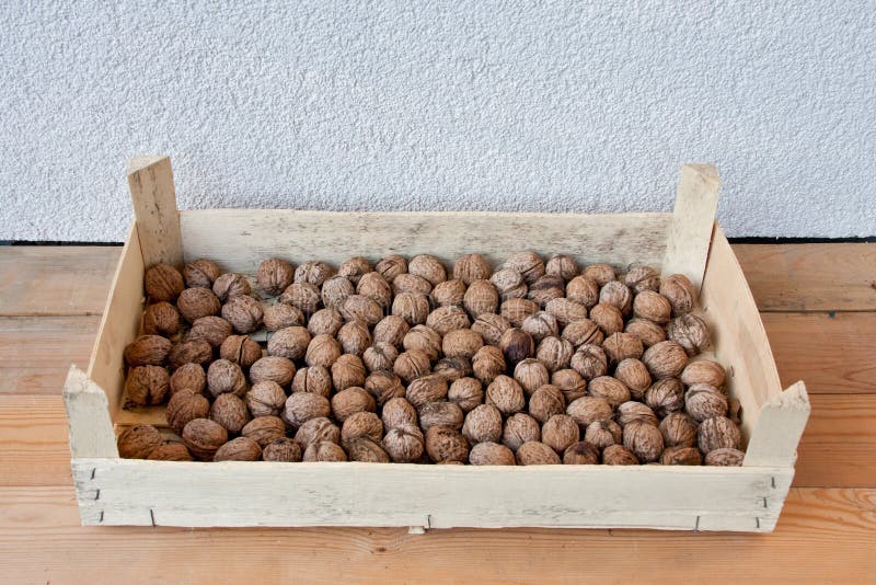 Lots of walnuts are in the plywood box royalty free stock images Lots of walnuts are in the plywood box royalty free stock images