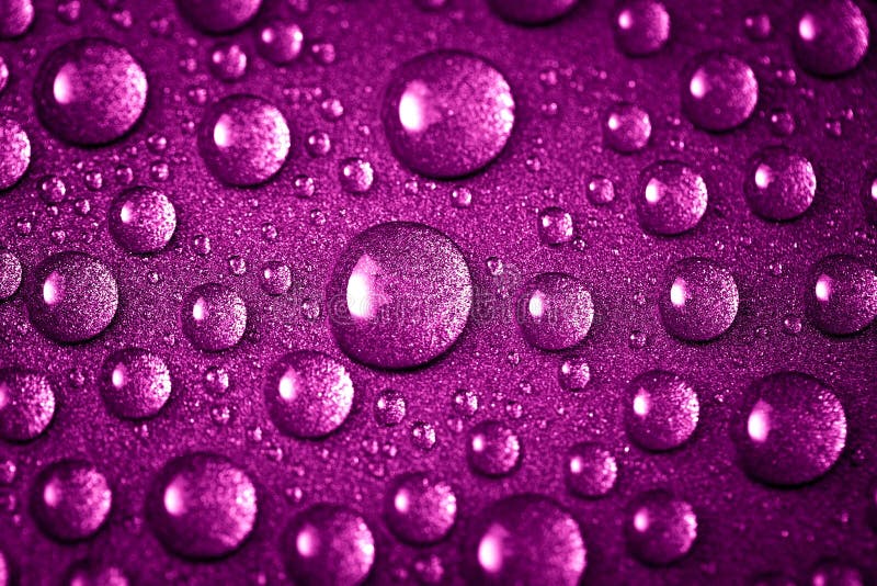 1 027 Droplets Sweat Photos Free Royalty Free Stock Photos From Dreamstime