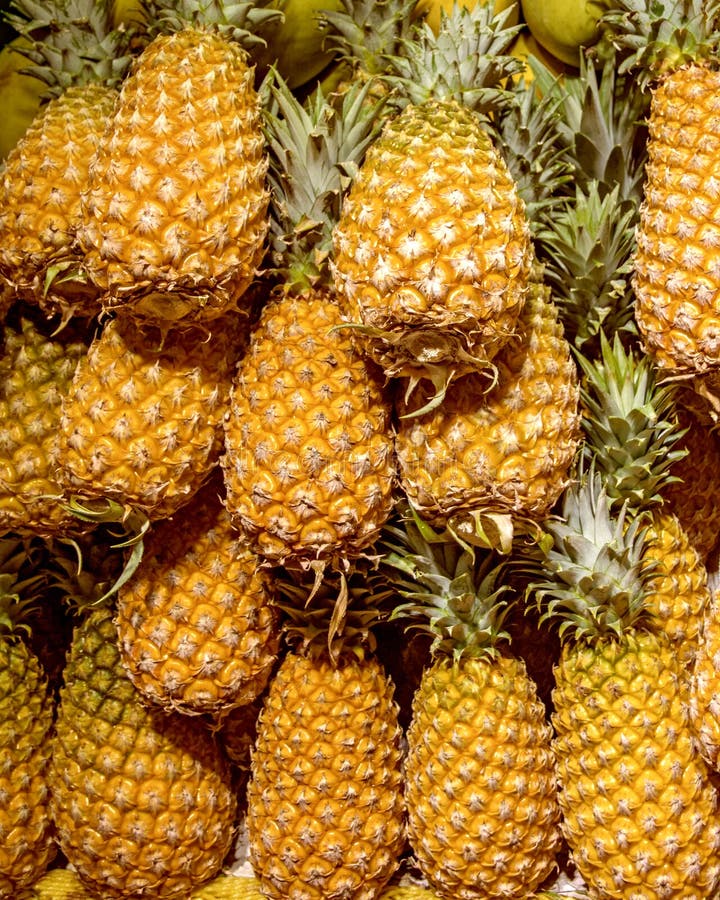 Lotti degli ananas maturi e bei, una vetrina in pieno del frui succoso immagine stock libera da diritti Lotti degli ananas maturi e bei, una vetrina in pieno del frui succoso immagine stock libera da diritti