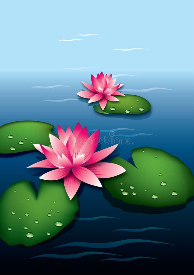 Lotus flowers on the lake stock vector. Illustration of beauty 12520539
