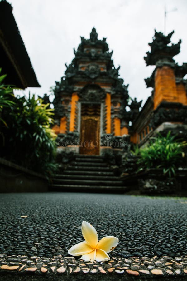 Lotus-Blume mit Tempel stockfotografie Lotus-Blume mit Tempel stockfotografie