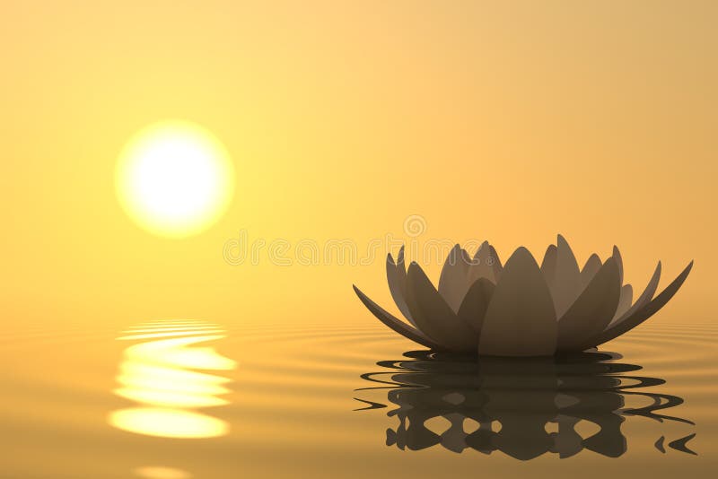 Lotus de fleur de zen sur le coucher du soleil illustration stock Lotus de fleur de zen sur le coucher du soleil illustration stock