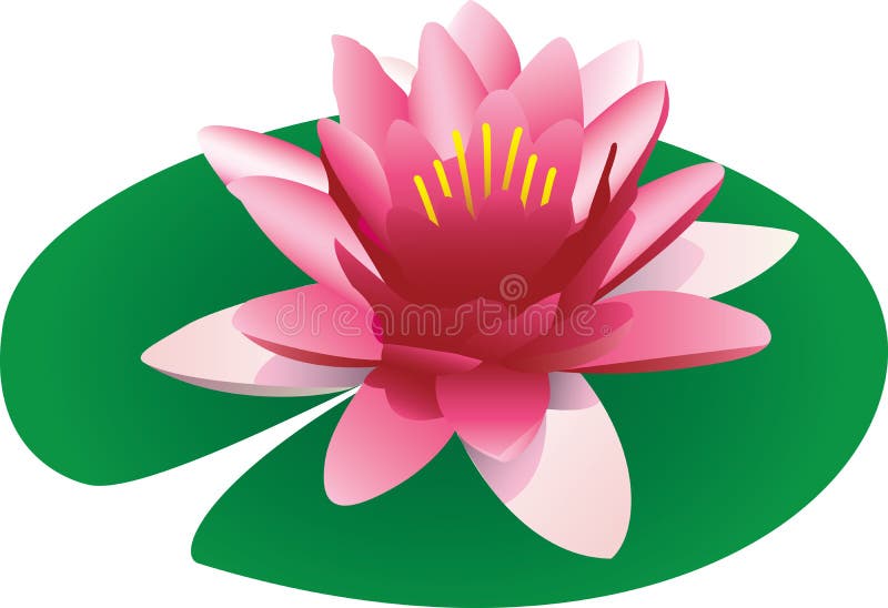 Lotus de flottement illustration stock Lotus de flottement illustration stock