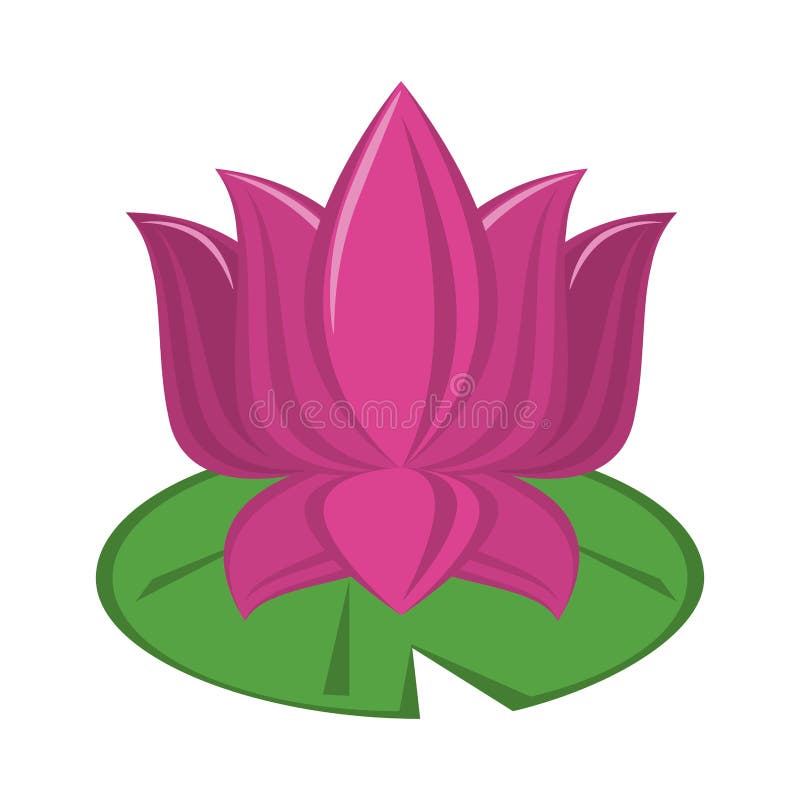 Lotus Flower on Leaf Cartoon Isolated Stock Vector Illustration of