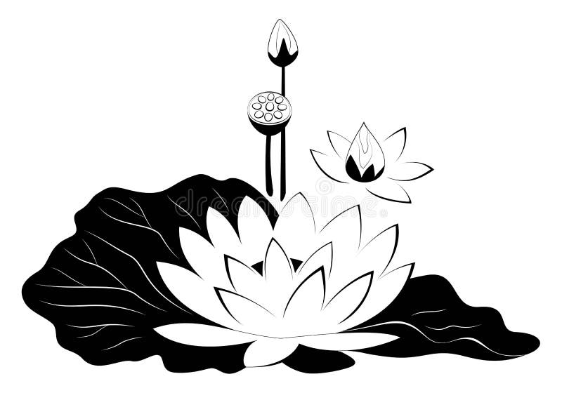 Lotus Flower with Leaves Black Silhouette. Stock Vector - Illustration