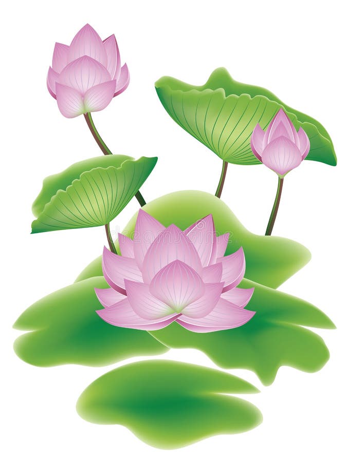 Lotus Flower with Leaves