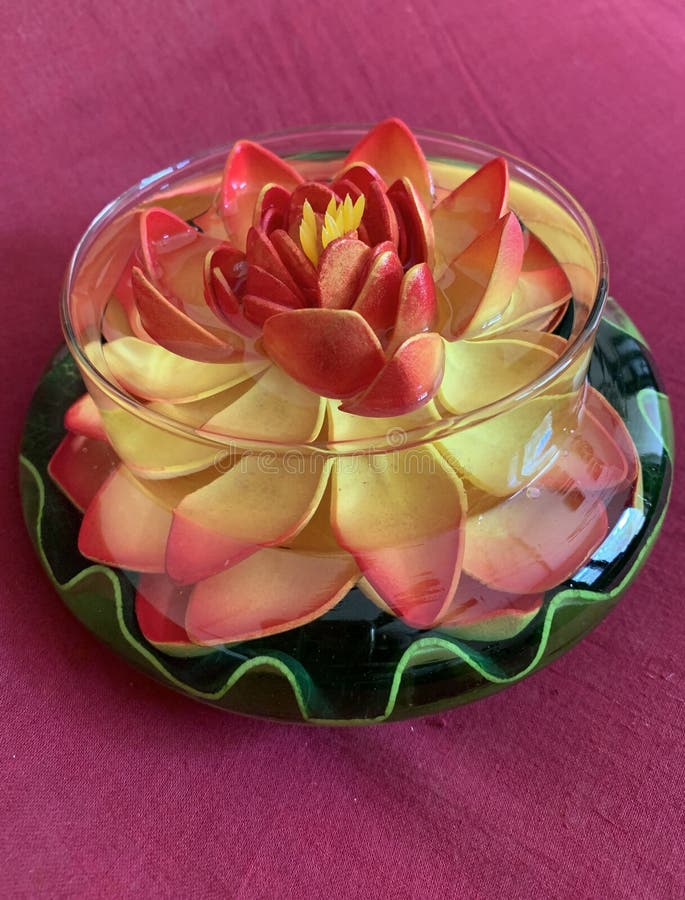 Lotus flower in a pot stock photo. Image of beauty, artistic 180346586