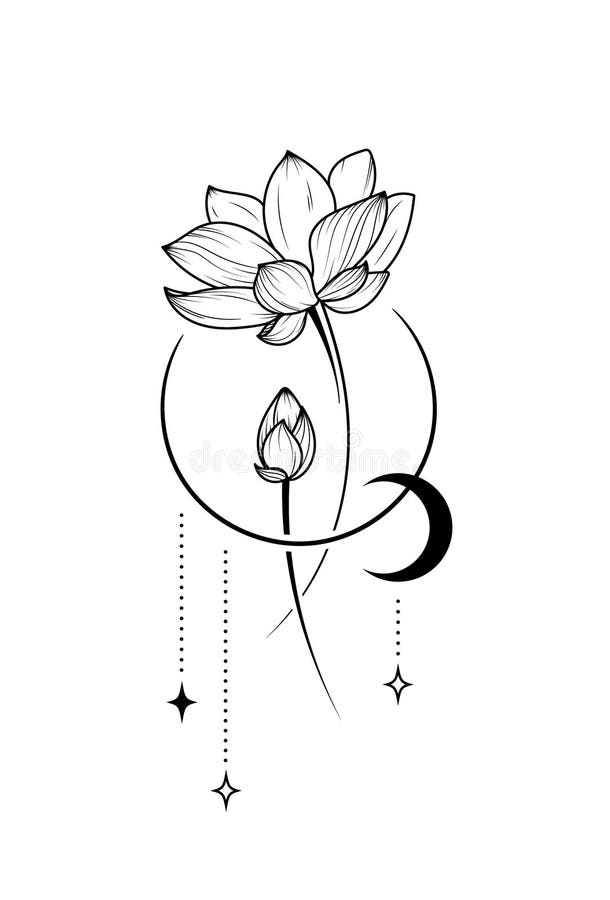 Lotus Line Art Illustration Stock Illustration - Illustration of ...