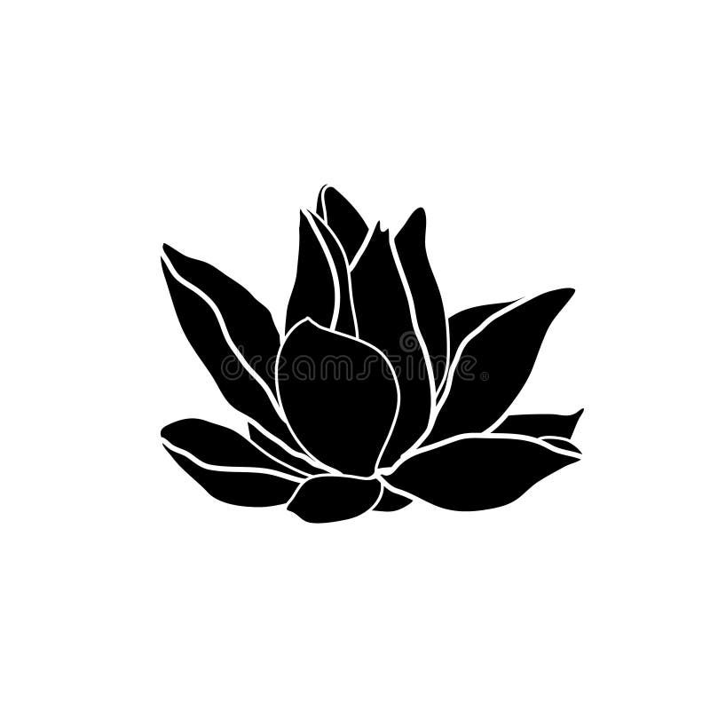 Lotus Logo Water Lily Drawing Stock Vector Illustration Of Contour Floral Lotus Logo Water Lily Drawing Stock Vector Illustration Of Contour Floral