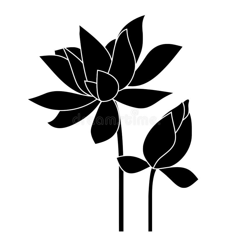 Lotus näckros Se mina andra arbeten i portfölj stock illustrationer Lotus näckros Se mina andra arbeten i portfölj stock illustrationer
