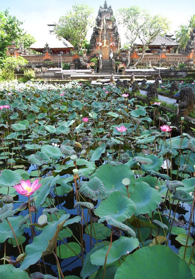 Lotus pond in famous Bali temple, Ubud