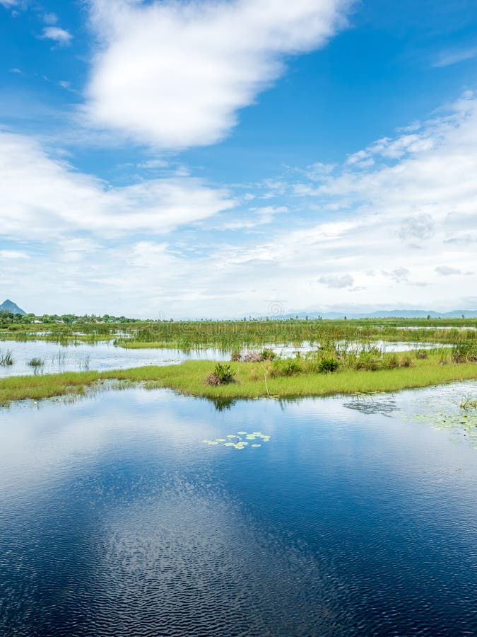 Lotus Pond with Natural Scene Stock Image - Image of road, mountain ...