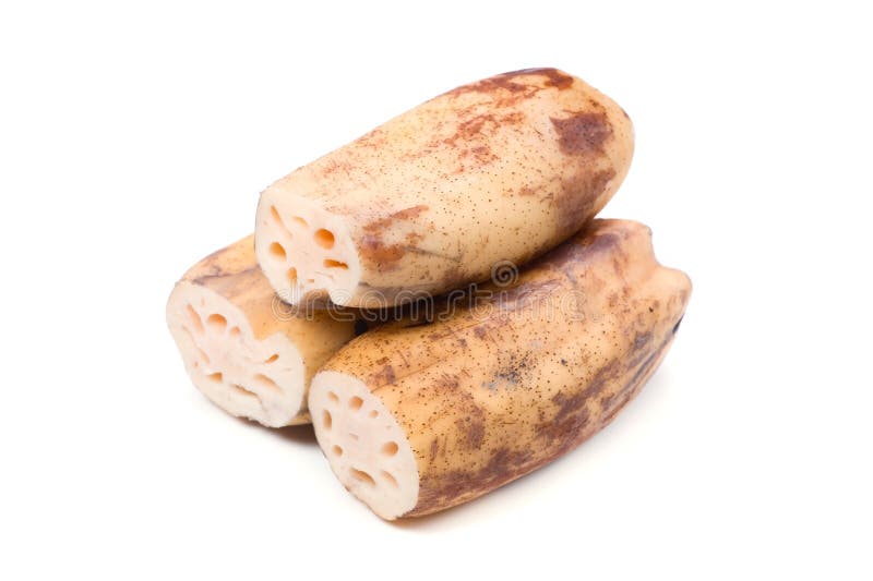 Lotus root stock photo. Image of healthy, radice, prepared 28469872