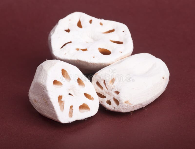 Lotus root stock image. Image of medical, crop, fruitage 37047395