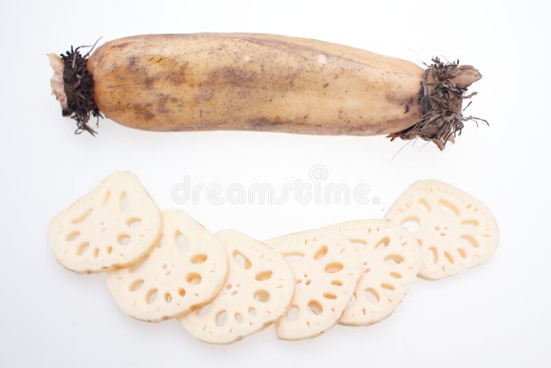 Lotus root stock photo. Image of green, closeup, plant 37743758
