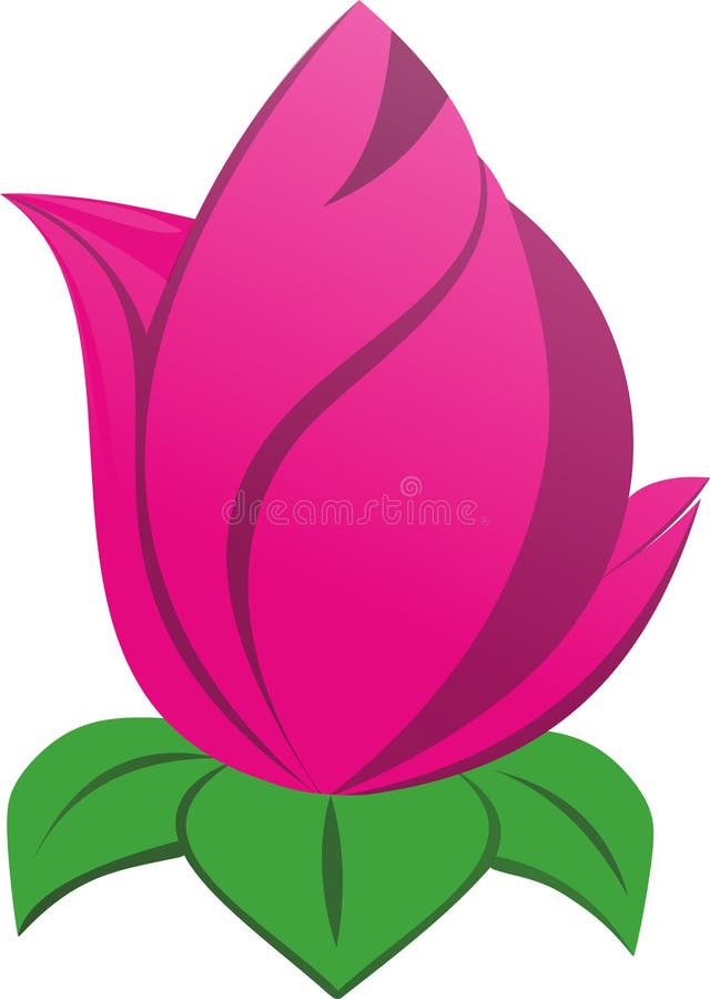 Lotus rose très beau illustration libre de droits