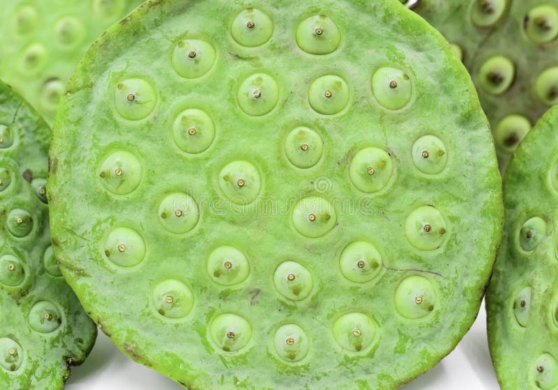 Lotus Seeds Pods. Myanmar Traditional Street Food Stock Photo - Image ...