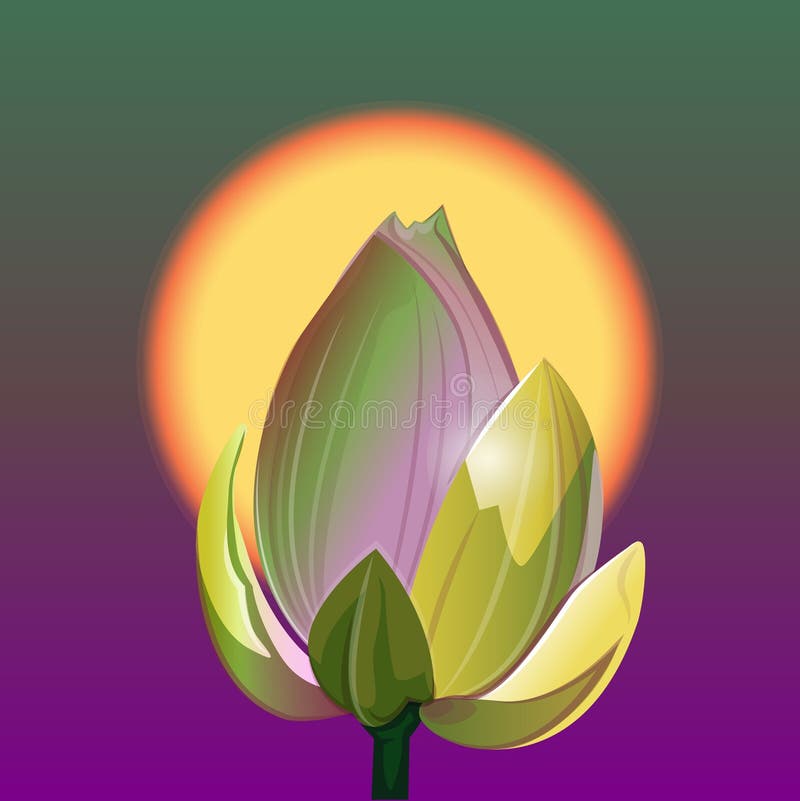 Lotus Bud Images – Browse 53,228 Stock Photos, Vectors, and Video