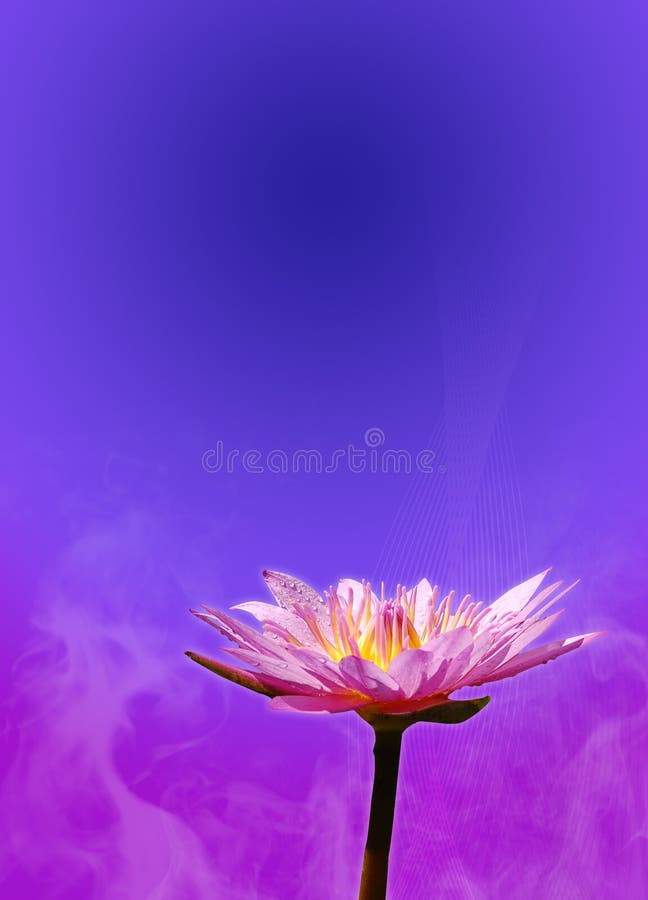 Lotus Template 1