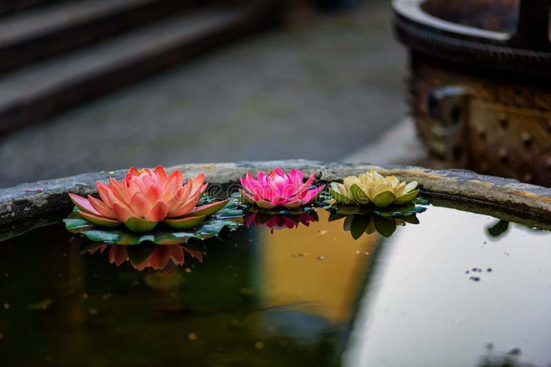 Lotus τρία στο ναό στοκ φωτογραφία Lotus τρία στο ναό στοκ φωτογραφία
