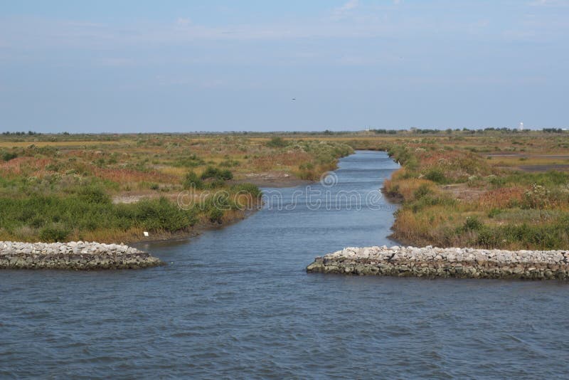 Louisiana Marsh Wetlands stock image. Image of nature 166892253