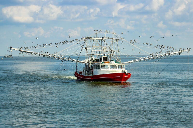569 Louisiana Shrimp Boat Stock Photos - Free & Royalty-Free Stock Photos  from Dreamstime