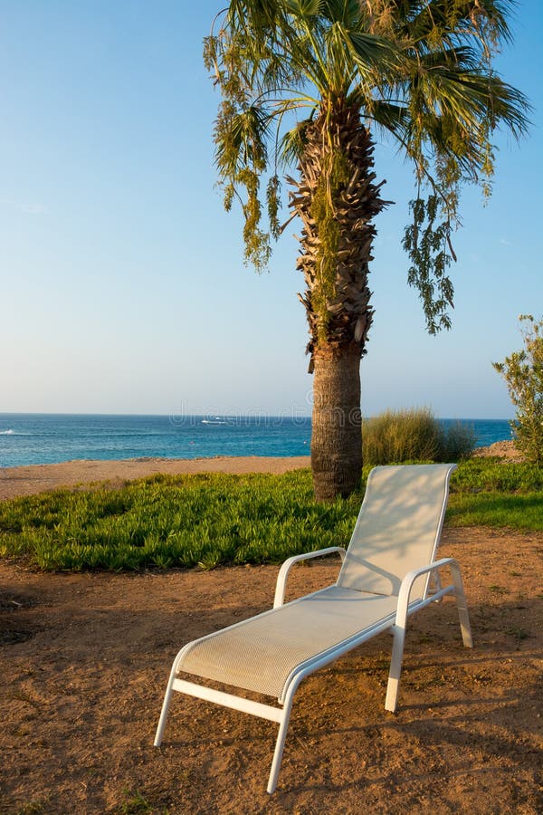 Lounge Chair Near the Palm Tree on the Beach Stock Photo Image of