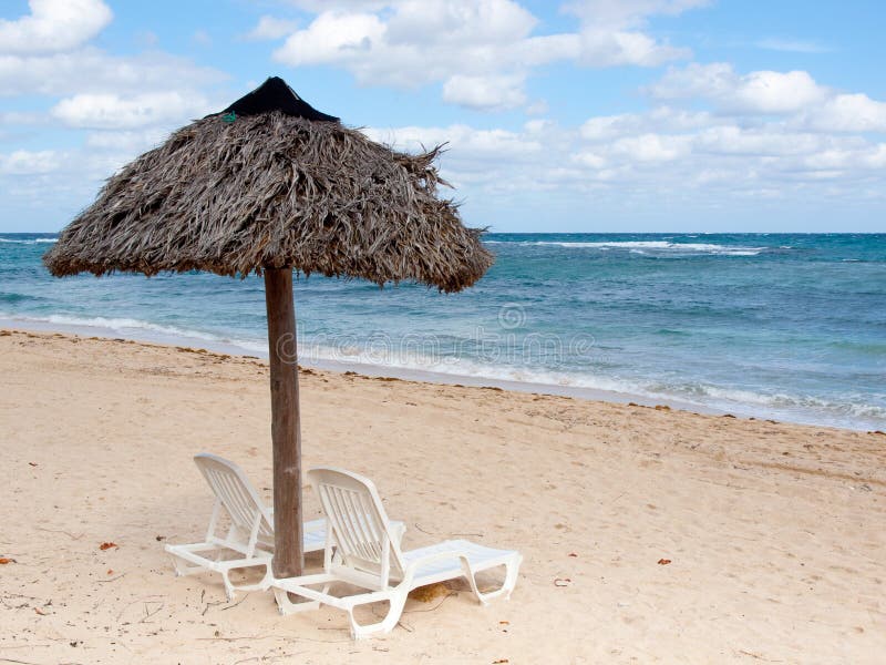 Lounging Chairs at a Beach Resort Stock Photo Image of coast, resort