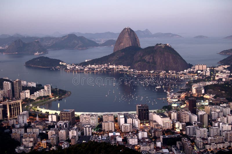 Louro de Botafogo imagem de stock royalty free Louro de Botafogo imagem de stock royalty free