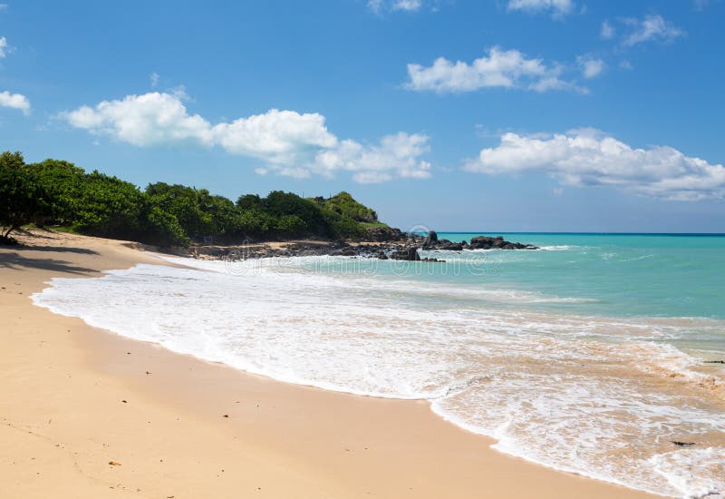 Louro feliz fora da costa de St Martin as Caraíbas imagem de stock Louro feliz fora da costa de St Martin as Caraíbas imagem de stock