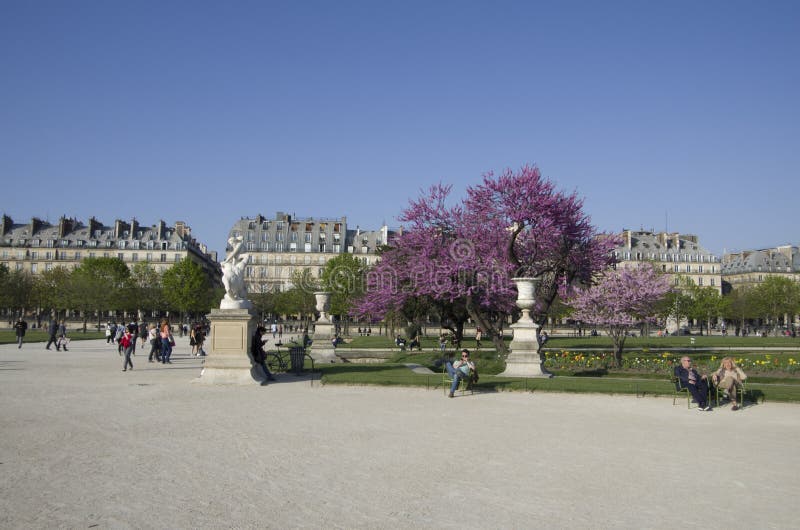 Beautiful park des tuileries with many people siting and relaxing in the sun. Beautiful park des tuileries with many people siting and relaxing in the sun.