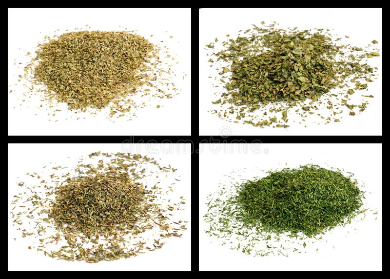 Lovage, Oregano, Dill Summit, Thyme Stock Image Image of thyme