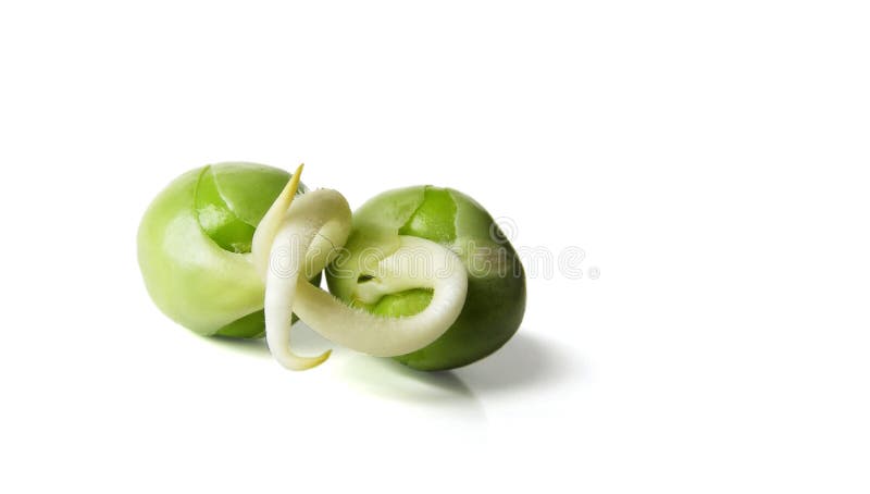 Close-up of delicious fresh sprouts. Close-up of delicious fresh sprouts