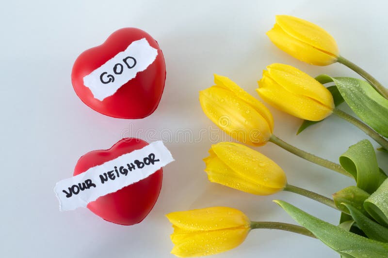 Love God and your neighbor, handwritten text, red hearts, and yellow tulips on white, top view