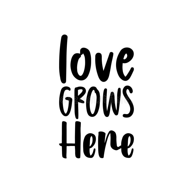 Love Grows Here Black Letter Quote Stock Illustration Illustration of