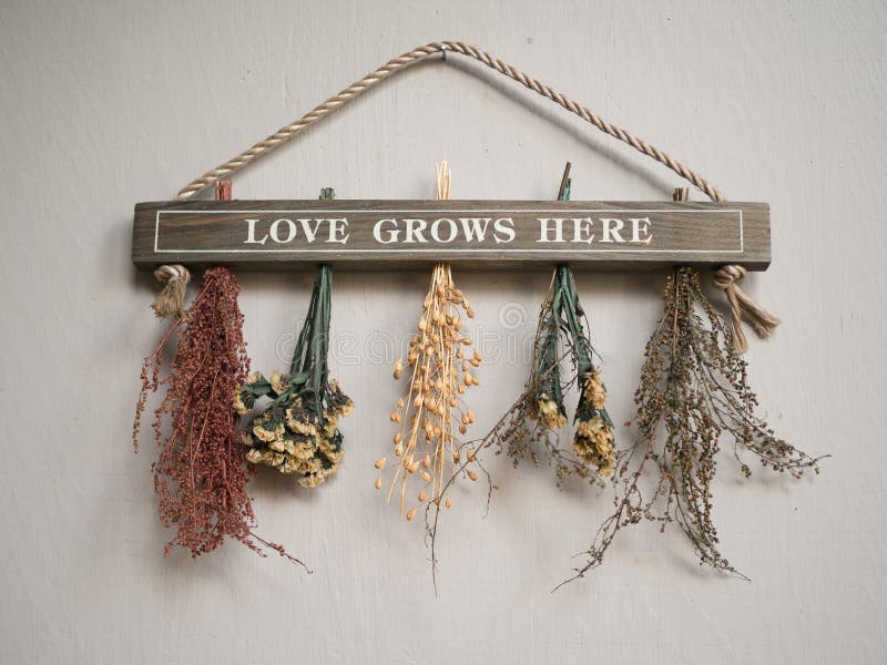Love Grows Here royalty free stock photo Love Grows Here royalty free stock photo
