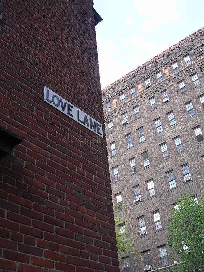 Love Lane Street Sign stock photo. Image of sign, background 5954670