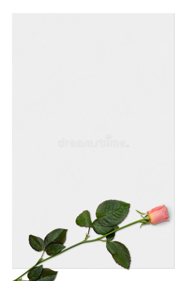 Love Letter Paper with Red Rose Background Stock Illustration -  Illustration of abstract, rose: 603541