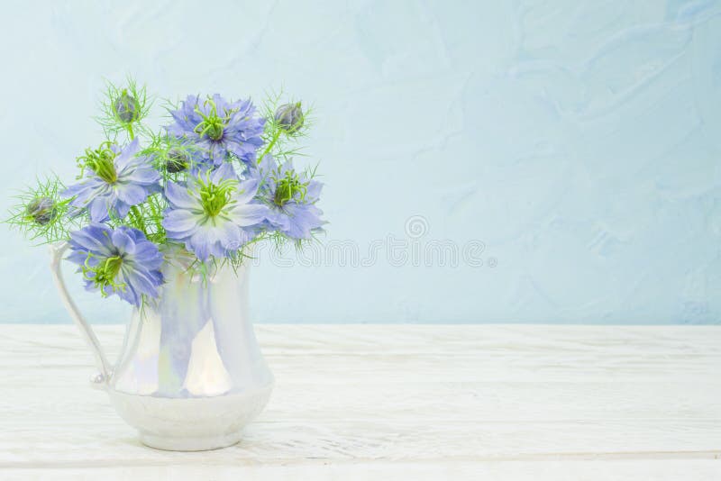 Love in the mist flowers, cornflowers on bright background. Annual, background, beautiful, love, beauty, bed, bees, black, bloom, blossom, blue, color, flowers, blurred, blurry, boarder, botanical, botany, bright, bush, buttercup, close, closeup, cornflower, damascena, day, devil, family, lamiaceae, flora, floral, garden, mist, nature, outdoor, periwinkle, petals, plant, prairie, scent, single, soft, white, wide, wildflower